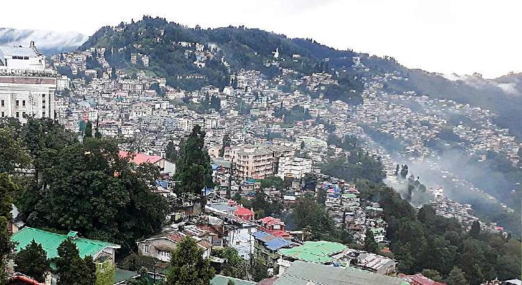 Relaxing Break in Darjeeling